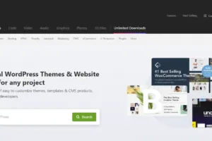 How to Free Download website Template