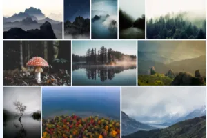 How to Create Functional Image Gallery in HTML CSS & JavaScript