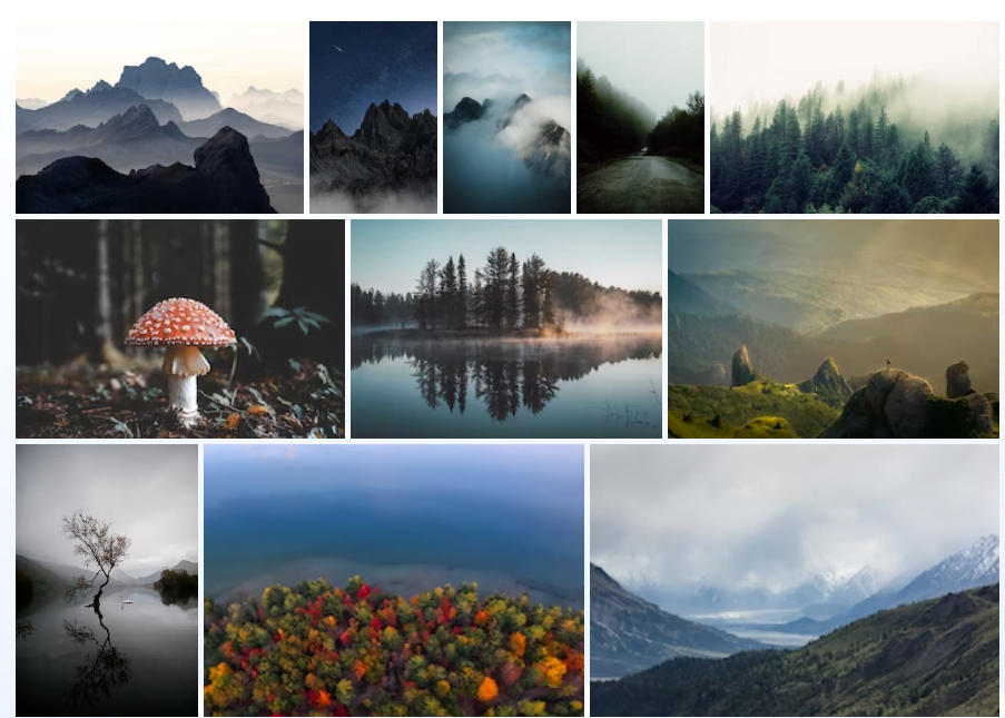 How to Create Functional Image Gallery in HTML CSS & JavaScript